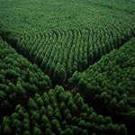 b29e04462958464b3c523d33c858d197